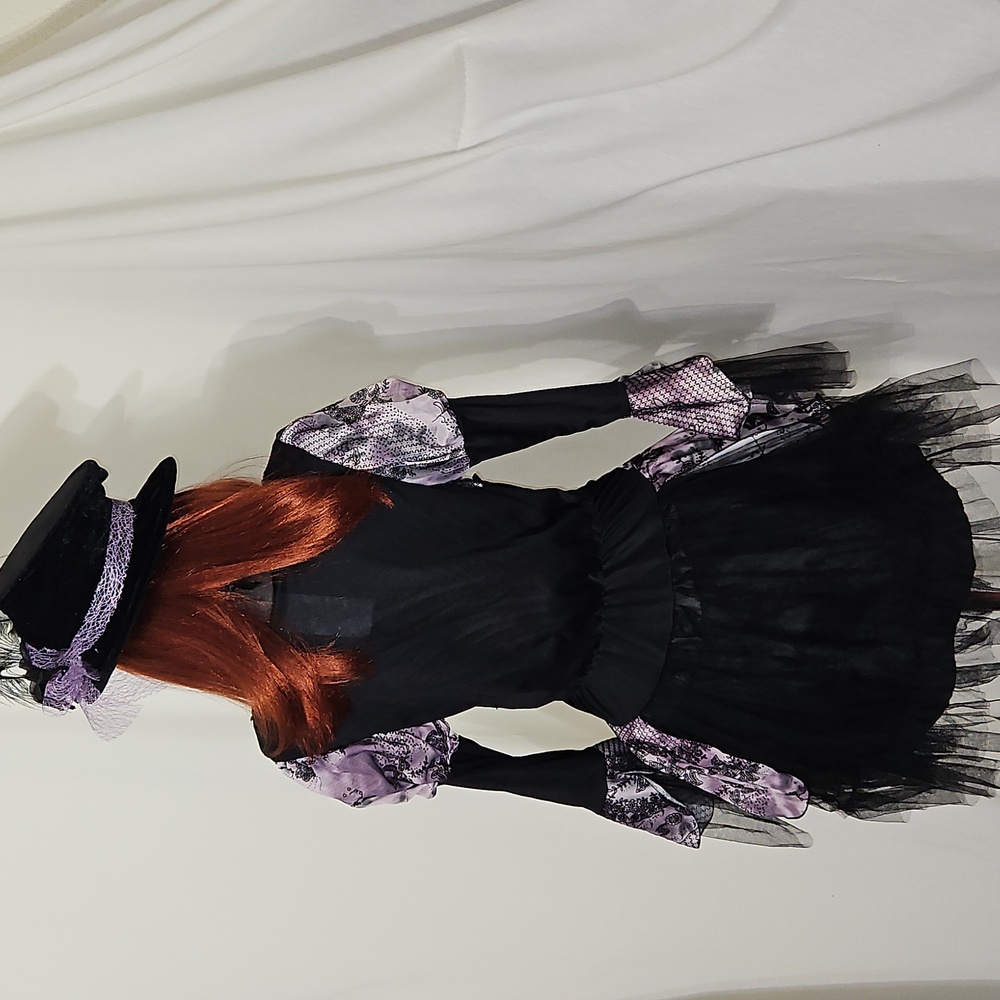 Gothic Enchantress Costume W/ Wig, Hat, Dress, Fishnet Stockings Size S (4-6) - Picture 8 of 11